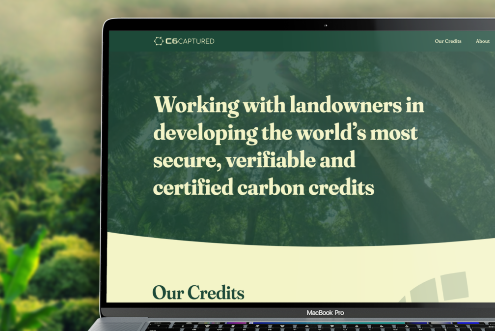 Elyssa Biringer's Broadway Play