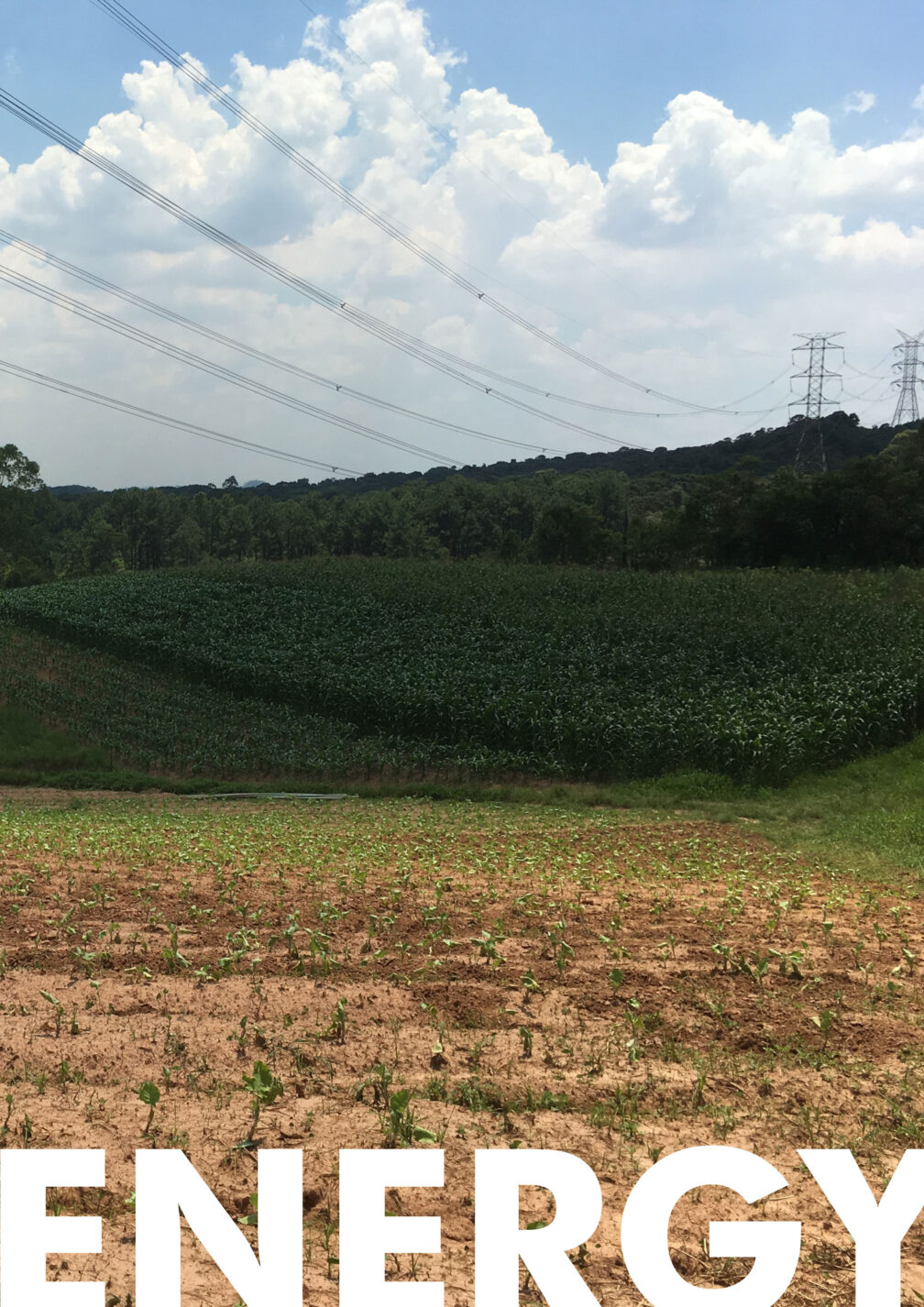 Juliana Camargo's Publications for Namati & Grassroots Justice Network