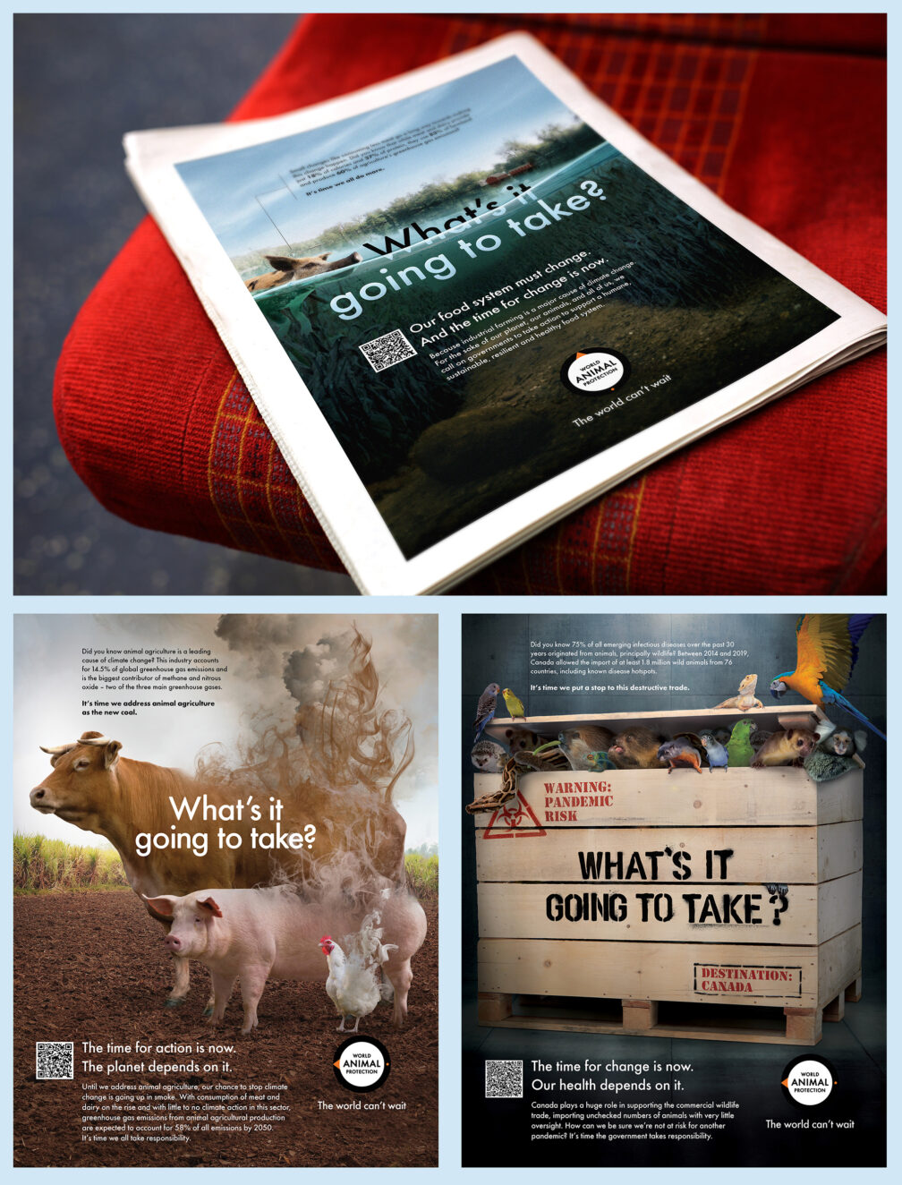 Sheree Stephenson's Test