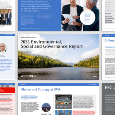 Peter Scott's Mapping Ontario's Black Archives Website