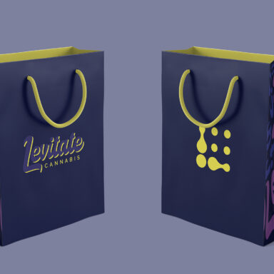 Iliana Sergeev's Demetres Danforth - Environmental Graphics & Art