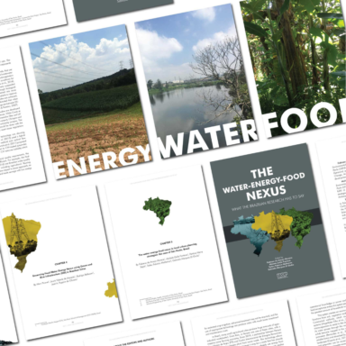 Juliana Camargo's Publications for Namati & Grassroots Justice Network