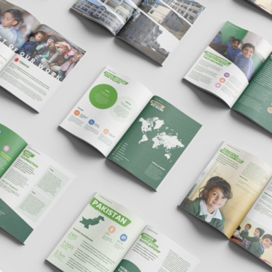 Juliana Camargo's Publications for Namati & Grassroots Justice Network