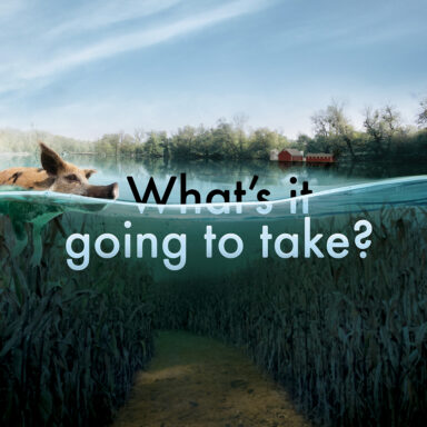 Sheree Stephenson's Test